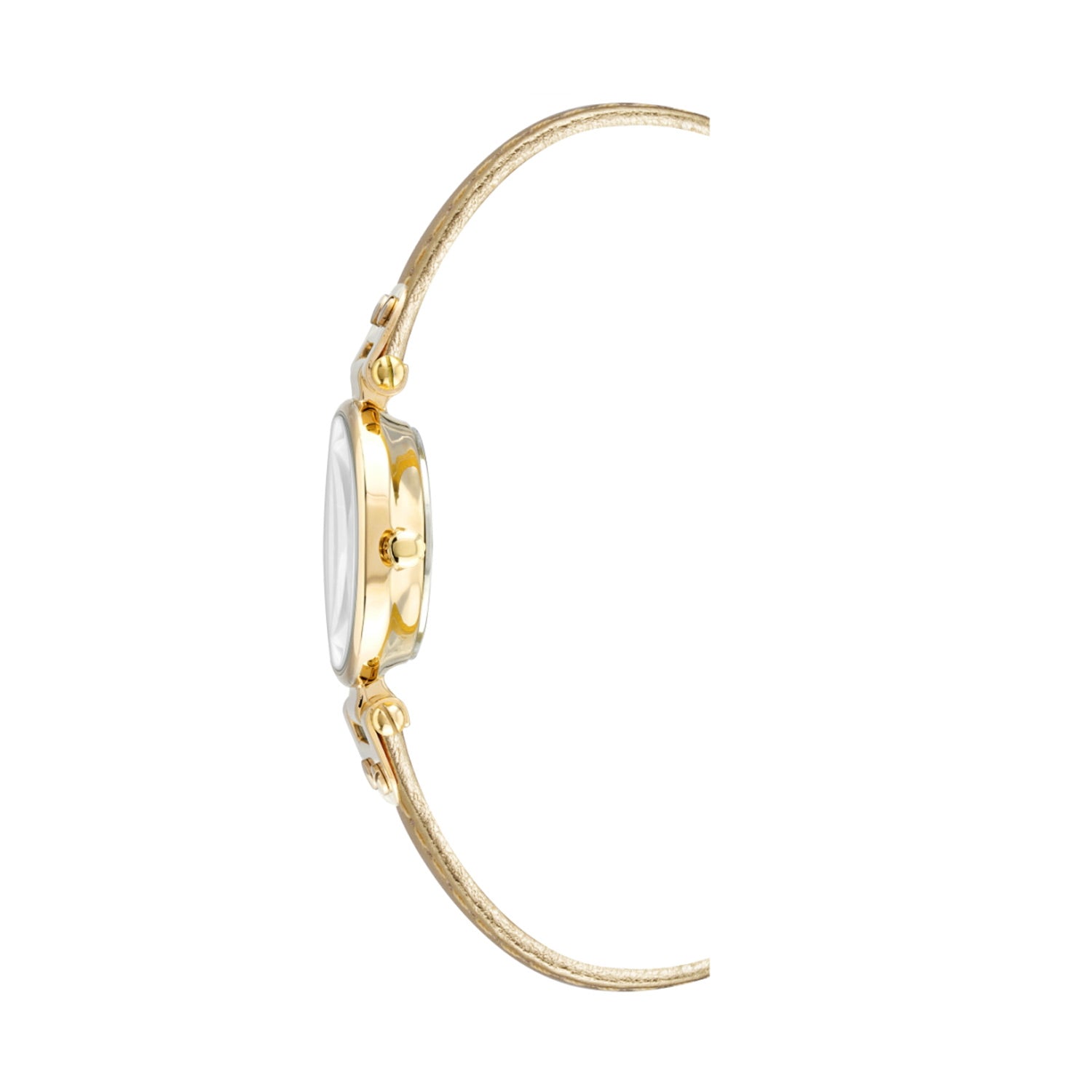 Anne Klein Women's Quartz Watch, Gold Dial - AK-0229