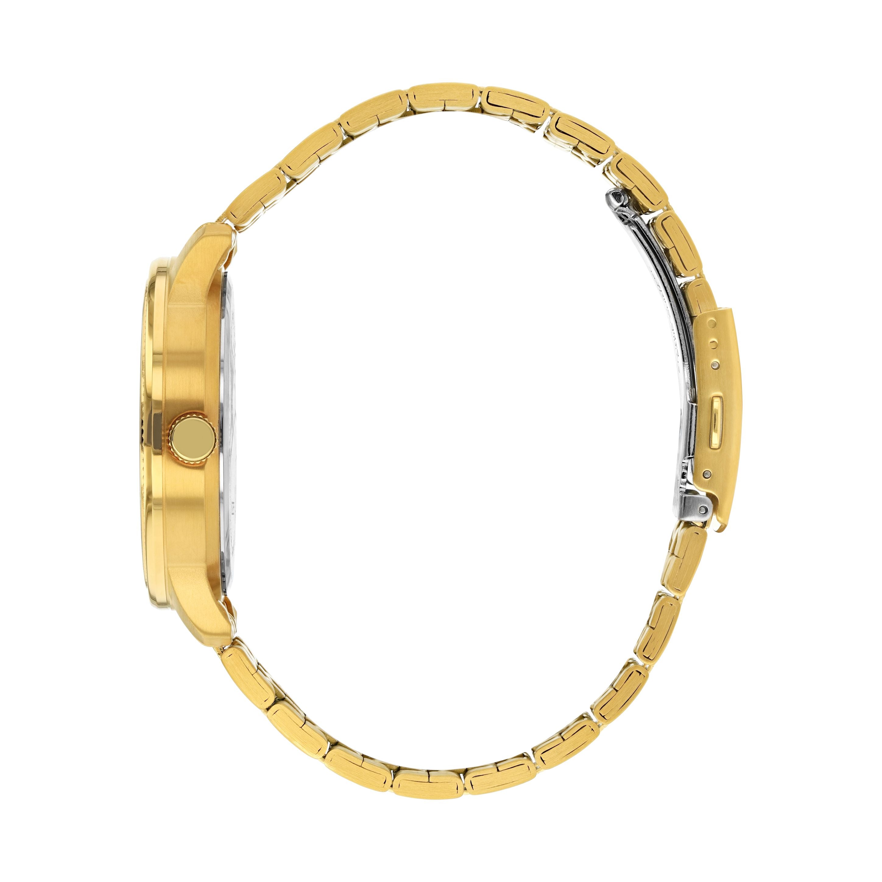 ساعة سبيشل سيتيزن الرجالية بحركة كوارتز ولون مينا ذهبي - DZ0052-51P