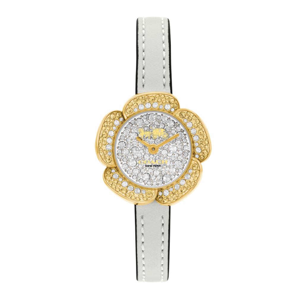 Coach Women's Quartz Watch with Silver Dial - COH-0017