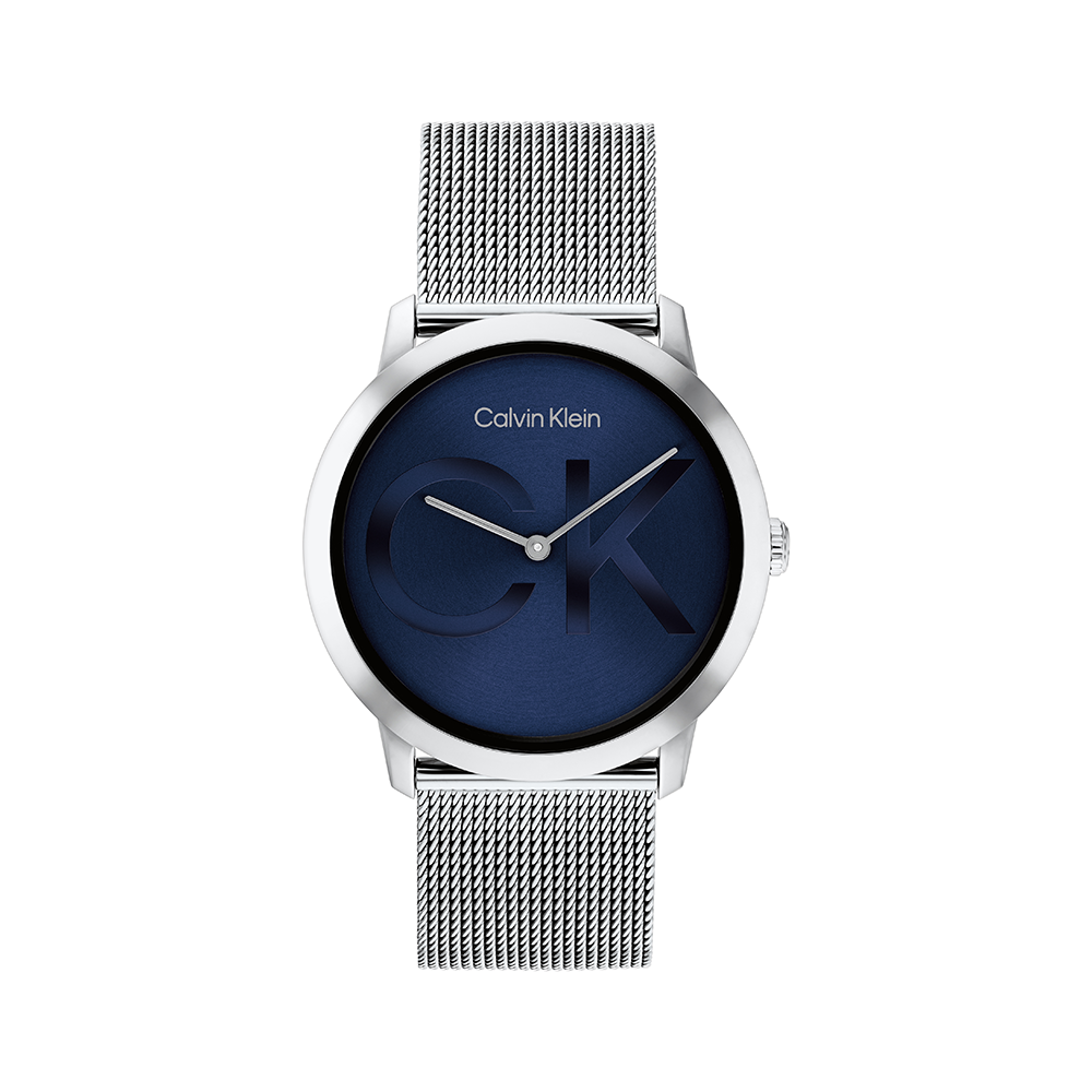 Minimal Calvin Klein Established Watch Calvin Klein Established