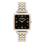 Women Quartz Watch with Black Dial